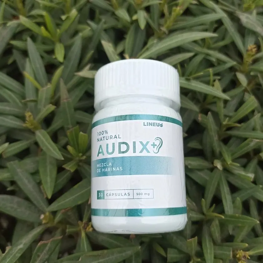 Audix+9 — foto