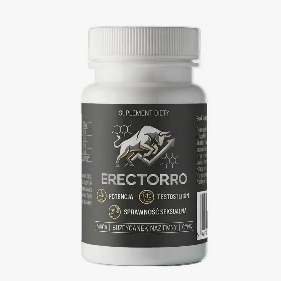 Erectorro — Zdjęcie 3