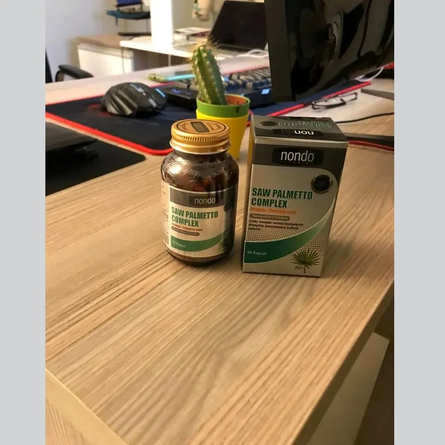 Nondo Saw Palmetto — صورة