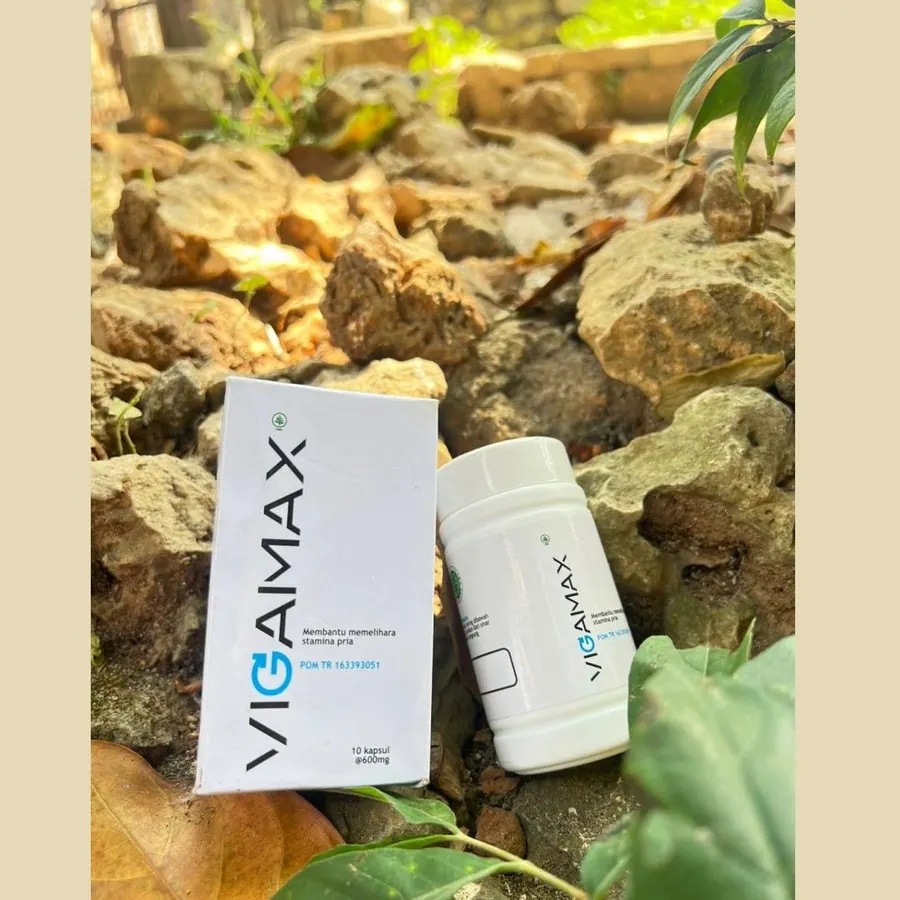 Vigamax — foto 1